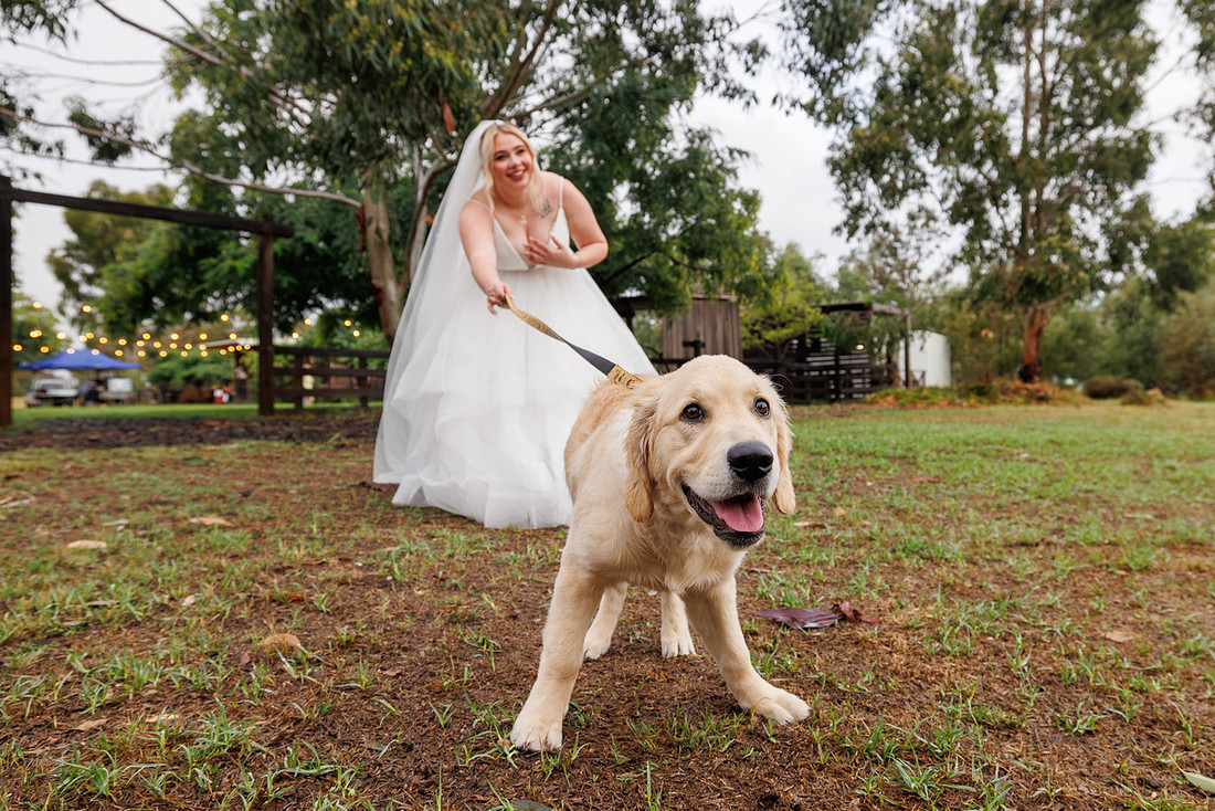 Madeleine and Daniel - Country Charm Weddings Photos